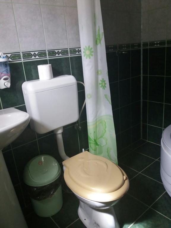 Casa Dobrin Hotel Arefu Eksteriør billede