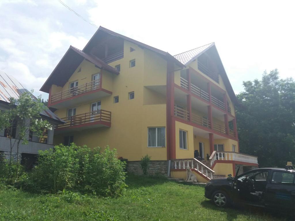 Casa Dobrin Hotel Arefu Eksteriør billede
