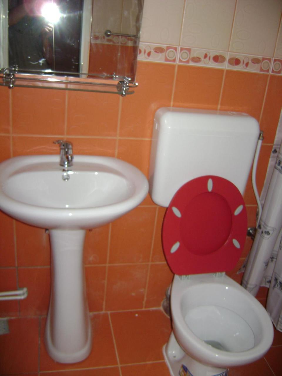 Casa Dobrin Hotel Arefu Eksteriør billede